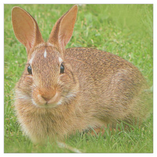 Niedliche Bunny Chewing Grüntöne auf der Golfmesse Stoff