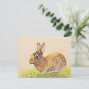 Niedliche bunt Bunny zeichnend Kunst Feiertagspostkarte