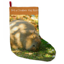 Niedliche Capybara-Träume im Sommer