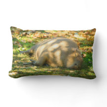 Niedliche Capybara-Träume im Sommer