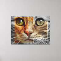 Niedliche Cat Face Collage Canvas Print