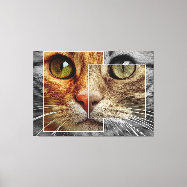 Niedliche Cat Face Collage Canvas Print Leinwanddruck (Vorderseite)