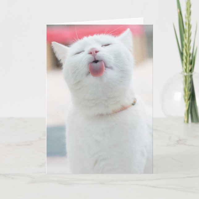 Niedliche Cat Grußkarte Feiertagskarte (Vorderseite)