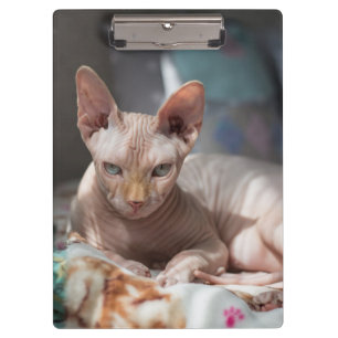 Niedliche Cat Lounges ohne Pelz Klemmbrett