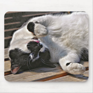 NIEDLICHE CAT MOUSEPAD