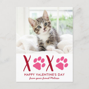 Niedliche Cat Pet Foto Valentinstag Urlaubskarte Feiertagspostkarte