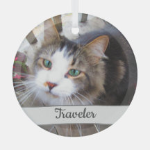 Niedliche Cat Pet Liebhaber Erstellen Sie Ihre eig