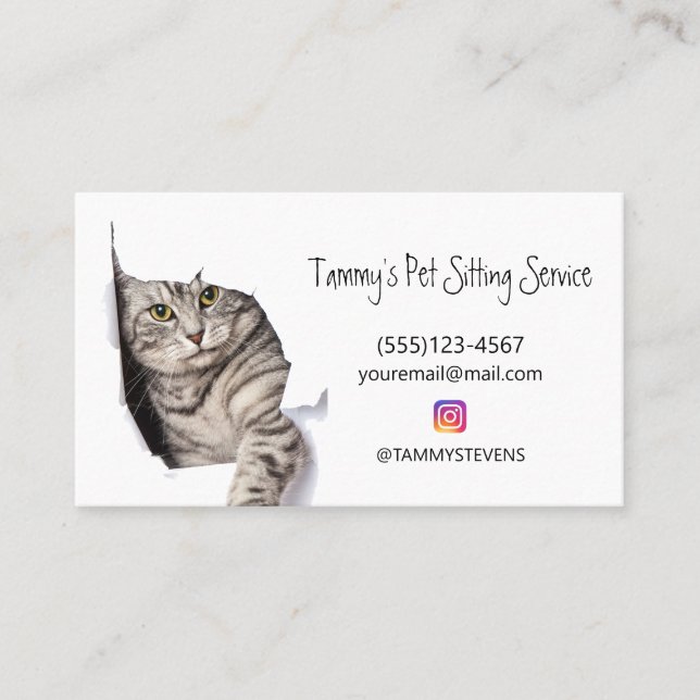 Niedliche Cat Pet Sitting Service Social Media Visitenkarte (Vorderseite)