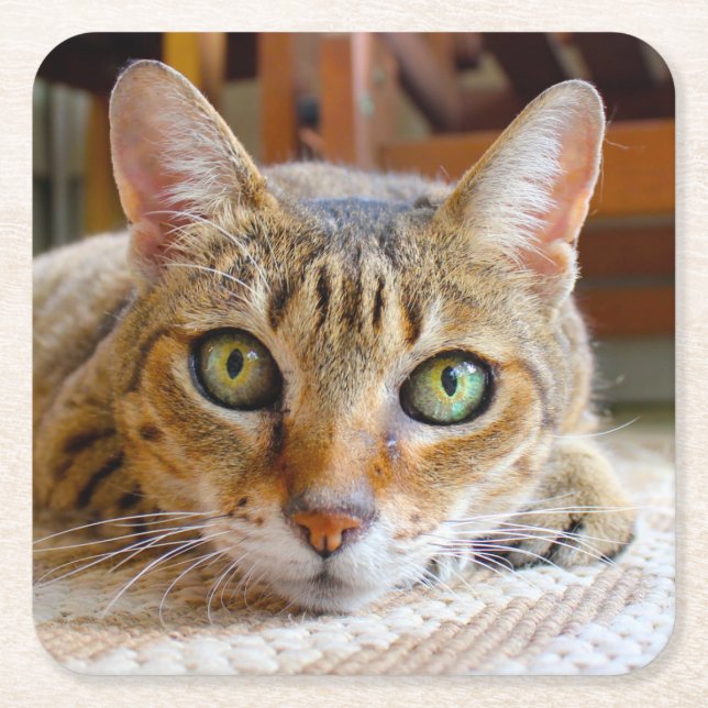 Niedliche Cat-Untersetzer Rechteckiger Pappuntersetzer (Vorderseite)