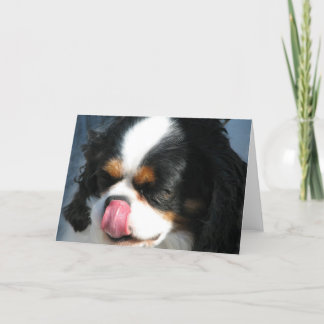 Niedliche Cavalier Spanische Hundegrußkarte Karte