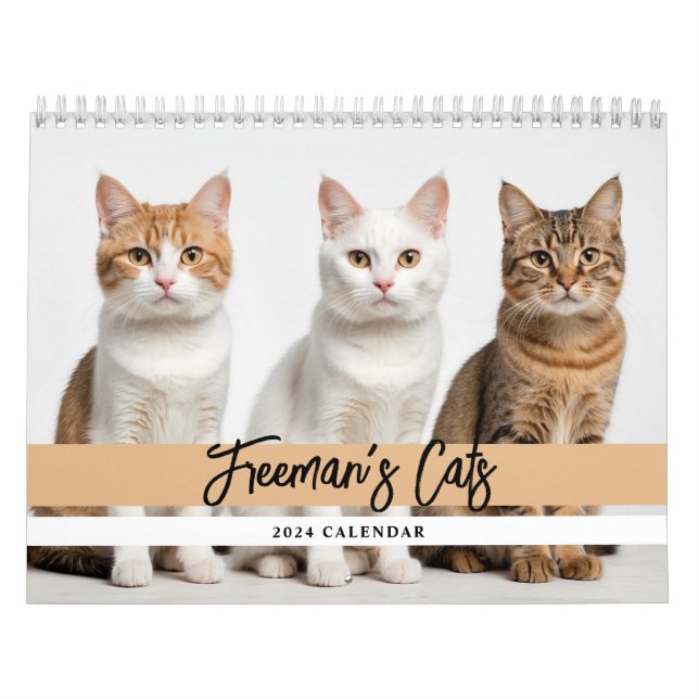 Niedliche Chat-Foto-Familie Kalender (Titelbild)