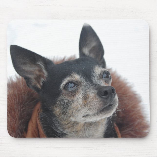 Niedliche Chihuahua-Foto-Mausunterlage Mousepad (Vorne)