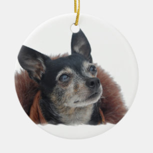 Niedliche Chihuahua-Verzierung Keramikornament