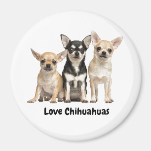 Niedliche Chihuahua Welpen Magnet