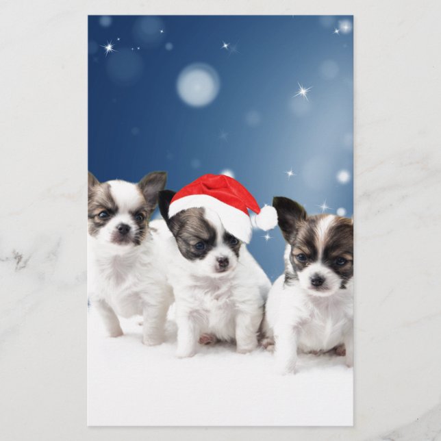 Niedliche Chihuahua Welpen mit Weihnachtsmannmütze Briefpapier (Vorderseite)