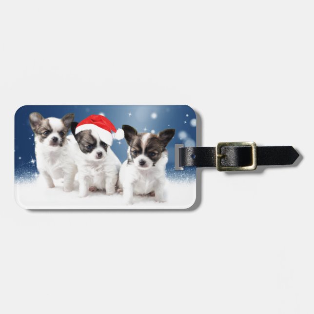 Niedliche Chihuahua Welpen mit Weihnachtsmannmütze Gepäckanhänger (Vorderseite horizontal)