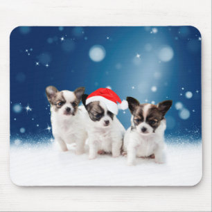 Niedliche Chihuahua Welpen mit Weihnachtsmannmütze Mousepad