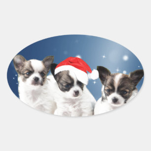 Niedliche Chihuahua Welpen mit Weihnachtsmannmütze Ovaler Aufkleber