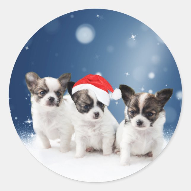 Niedliche Chihuahua Welpen mit Weihnachtsmannmütze Runder Aufkleber (Vorderseite)