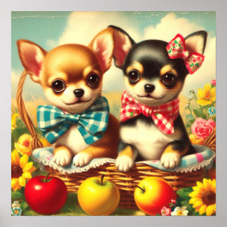 Niedliche Chihuahua Welpen Poster
