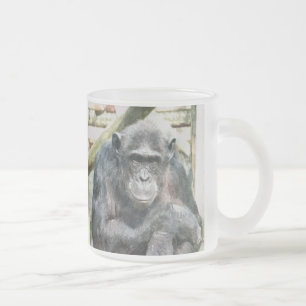 NIEDLICHE CHIMPANZEES MATTGLASTASSE