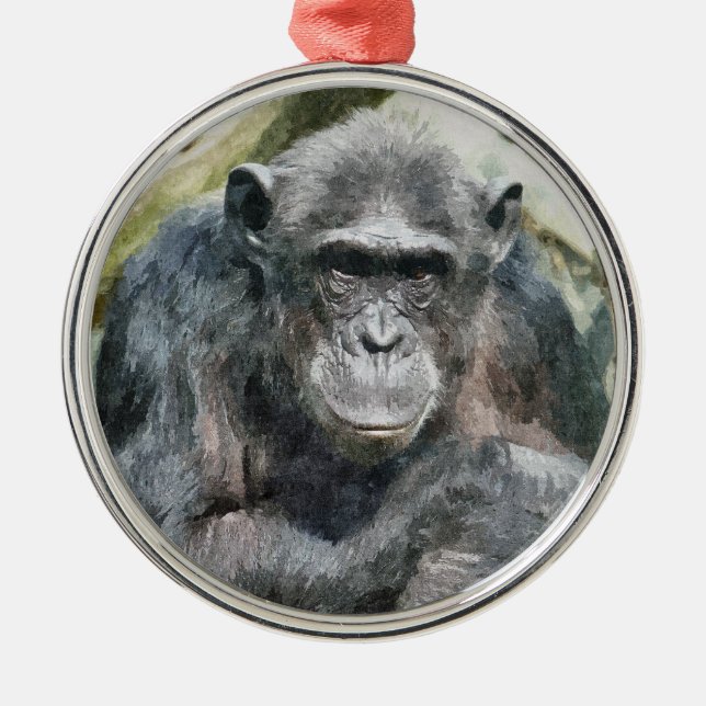 NIEDLICHE CHIMPANZEES SILBERNES ORNAMENT (Vorne)