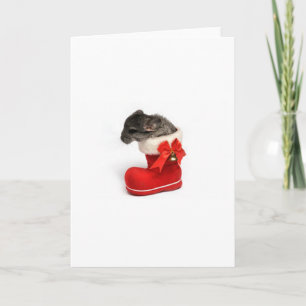 Niedliche Chinchilla im WeihnachtsStrumpf Feiertagskarte