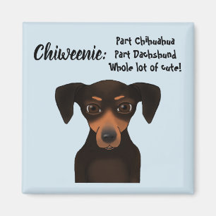 Niedliche Chiweenie Anerkennungchihuahua-Dackel Magnet