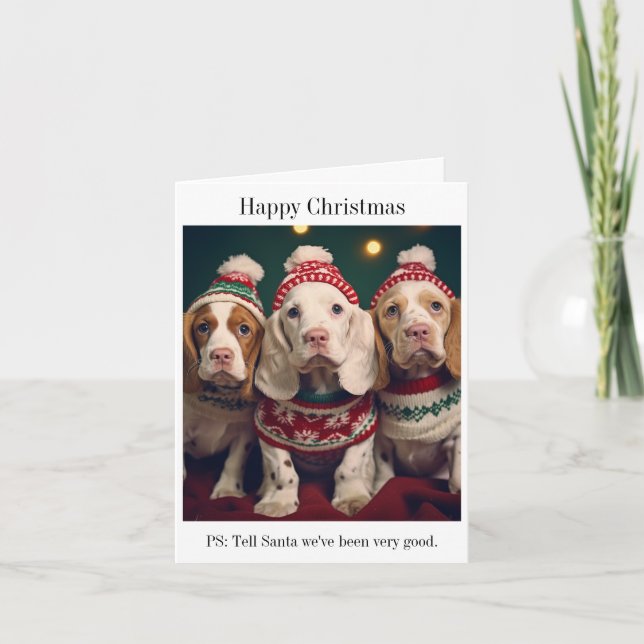 Niedliche Clumber Spaniels Weihnachtskarte Karte (Vorderseite)