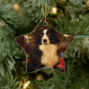Niedliche Collie und Weihnachtsbaum Keramik Ornament