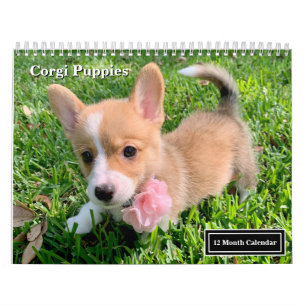 Niedliche Corgi Welpen 2025 Welpenwand Kalender