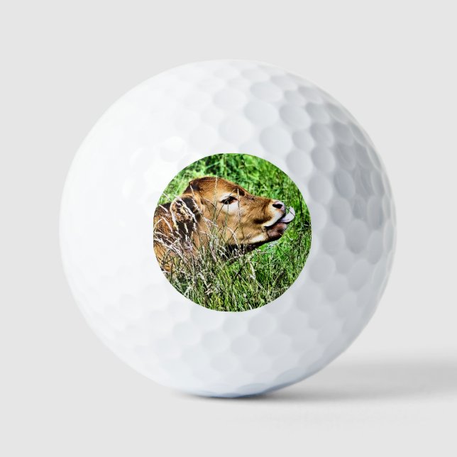 NIEDLICHE COW GOLFBALL (Vorderseite)