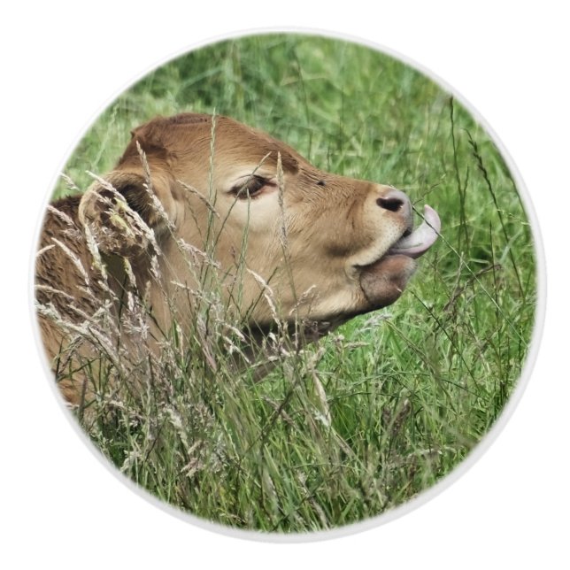 NIEDLICHE COW KERAMIKKNAUF (Vorderseite)