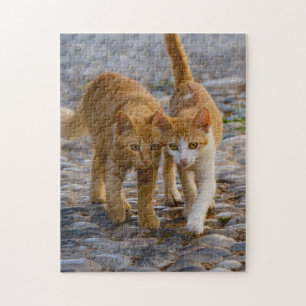 Niedliche Cudly Cats Kittens Friends Stony Path Fo Puzzle