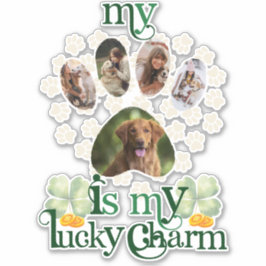 Niedliche Custom Paw Fotos Hund St Patrick's Day Aufkleber