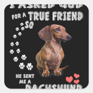 Niedliche Dackel Dackel Girl - Geschenke Dackel Ma Quadratischer Aufkleber