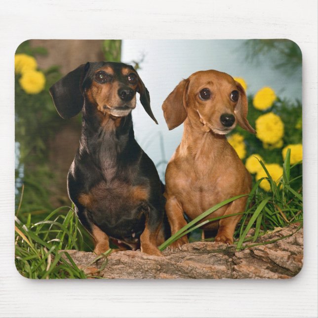 Niedliche Dackel Hund liebt Doxin Puppy Dackel Mousepad (Vorne)