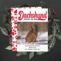 Niedliche Dackel Hund Weihnachtsbild Custom Foto