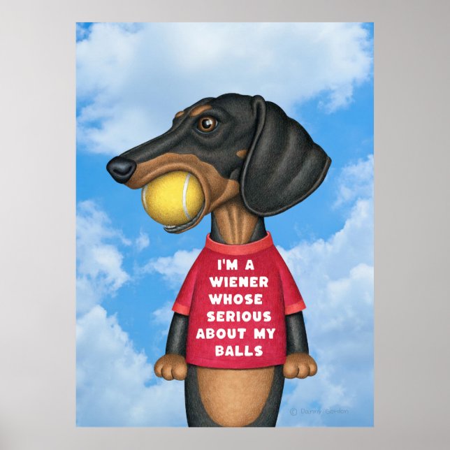 Niedliche Dackel mit Tennisball im Mund Poster (Vorne)