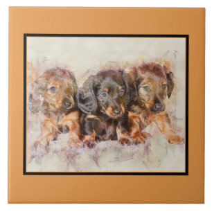 Niedliche DACKEL PUPPIES Pet Liebe, Hund HALTUNG Fliese