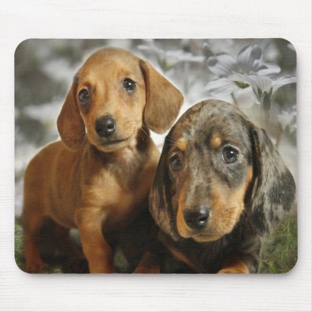 Niedliche Dackel-Welpen (Brown/Schwarzes) Mousepad (Vorne)