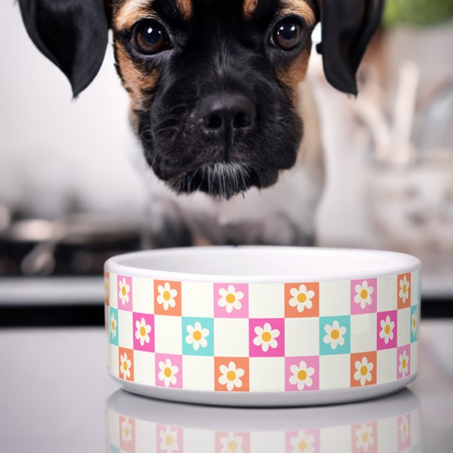 Niedliche Daisy Chequerboard Einfache farbenfrohe  Napf (Cute dog bowl with colorful daisy chequerboard pattern)