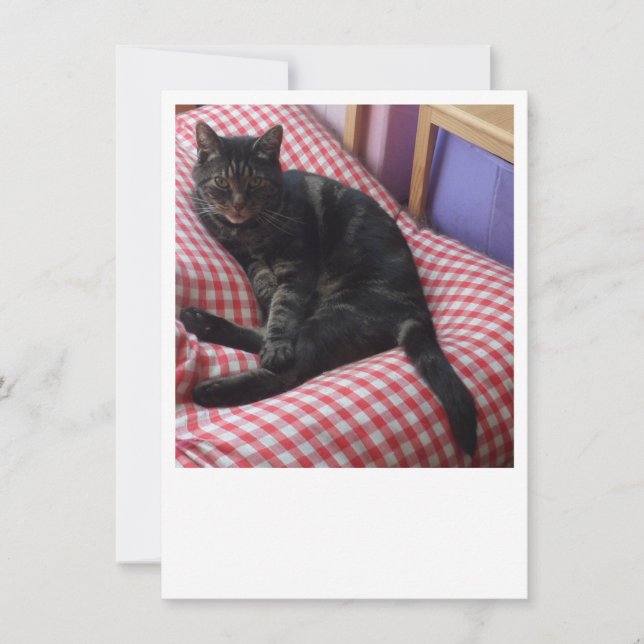 Niedliche Dave-Einladung Einladung (Vorderseite)