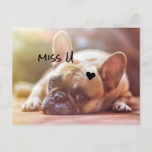 Niedliche Doggy anpassen Postkarte