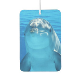 Niedliche Dolphin Lächeln Ozean Dolphin Lover Autolufterfrischer