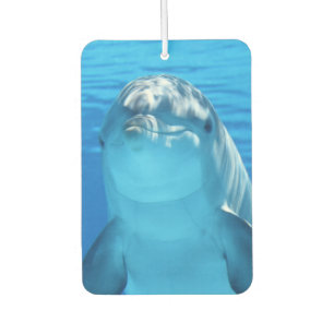 Niedliche Dolphin Lächeln Ozean Dolphin Lover Autolufterfrischer