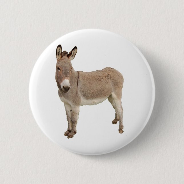 Niedliche Donkey Burro Fotografie Button (Vorderseite)