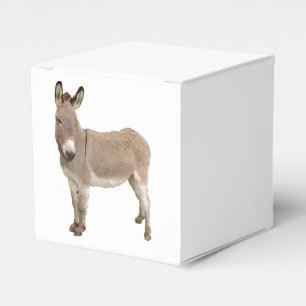 Niedliche Donkey Burro Fotografie Geschenkschachtel