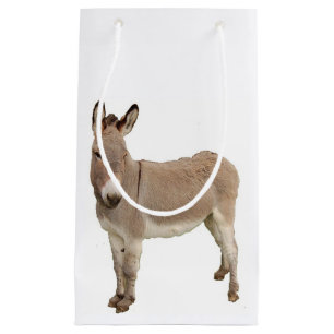 Niedliche Donkey Burro Fotografie Kleine Geschenktüte