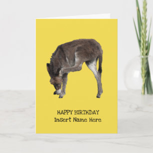 Niedliche Donkey Foal Scratching Ohrvorlage Karte
